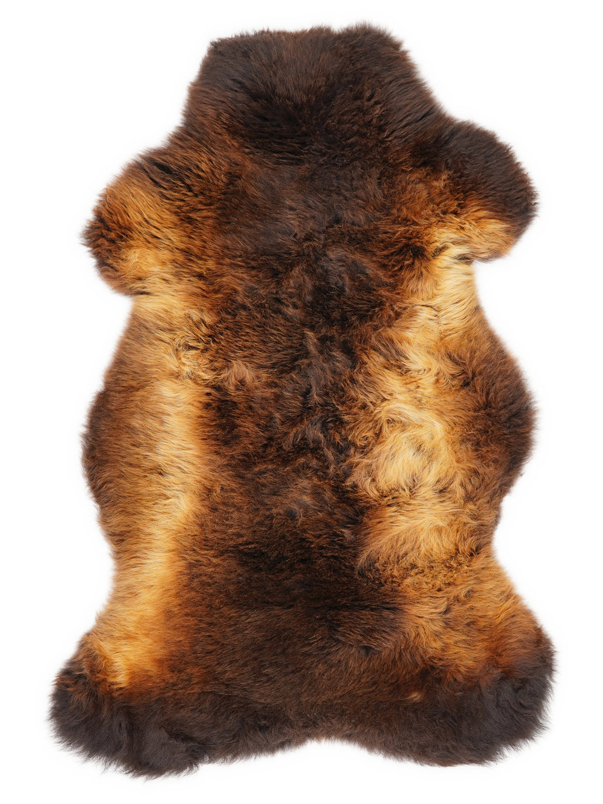 British multicolour sheepskin rug of about 110 × 65 cm, seen from above: the exact sheepskin you receive