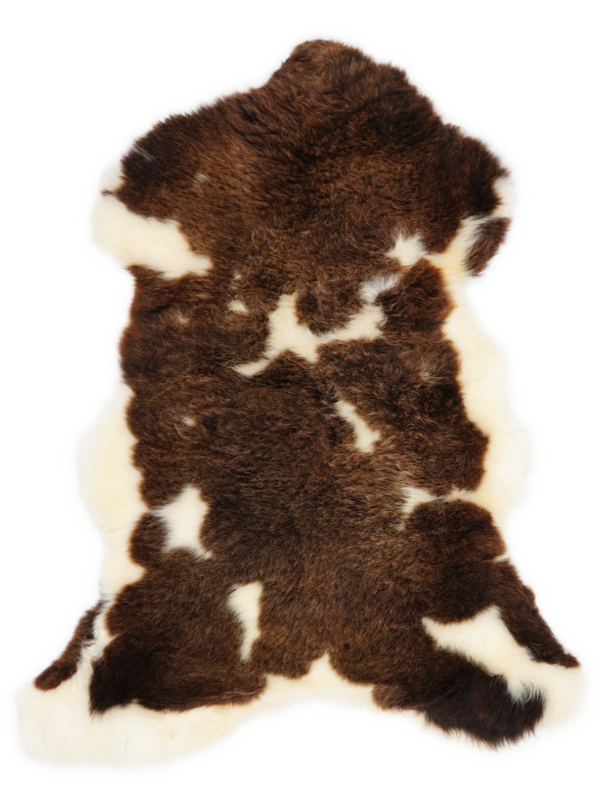 British multicolour sheepskin rug of about 105 × 65 cm, seen from above: the exact sheepskin you receive
