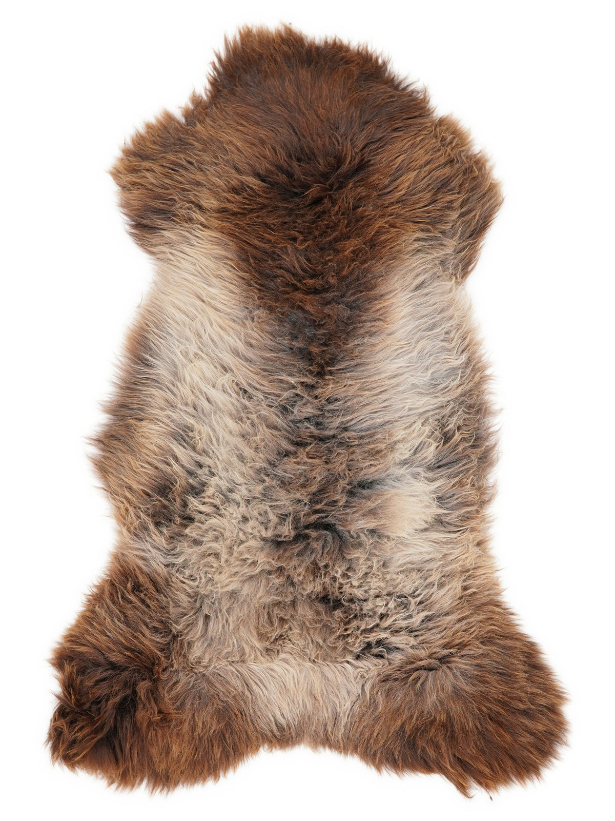 British multicolour sheepskin rug of about 120 × 60 cm, seen from above: the exact sheepskin you receive