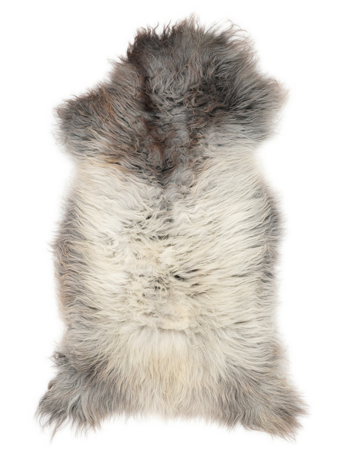 British multicolour sheepskin rug of about 120 × 60 cm, seen from above: the exact sheepskin you receive