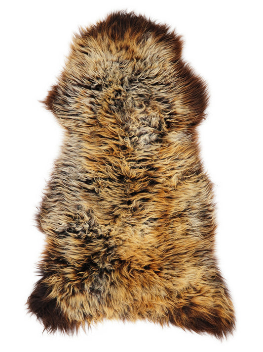 British multicolour sheepskin rug of about 130 × 60 cm, seen from above: the exact sheepskin you receive
