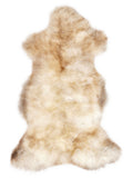British multicolour sheepskin rug of about 110 × 60 cm, seen from above: the exact sheepskin you receive
