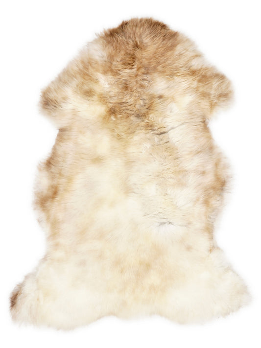 British multicolour sheepskin rug of about 110 × 70 cm, seen from above: the exact sheepskin you receive