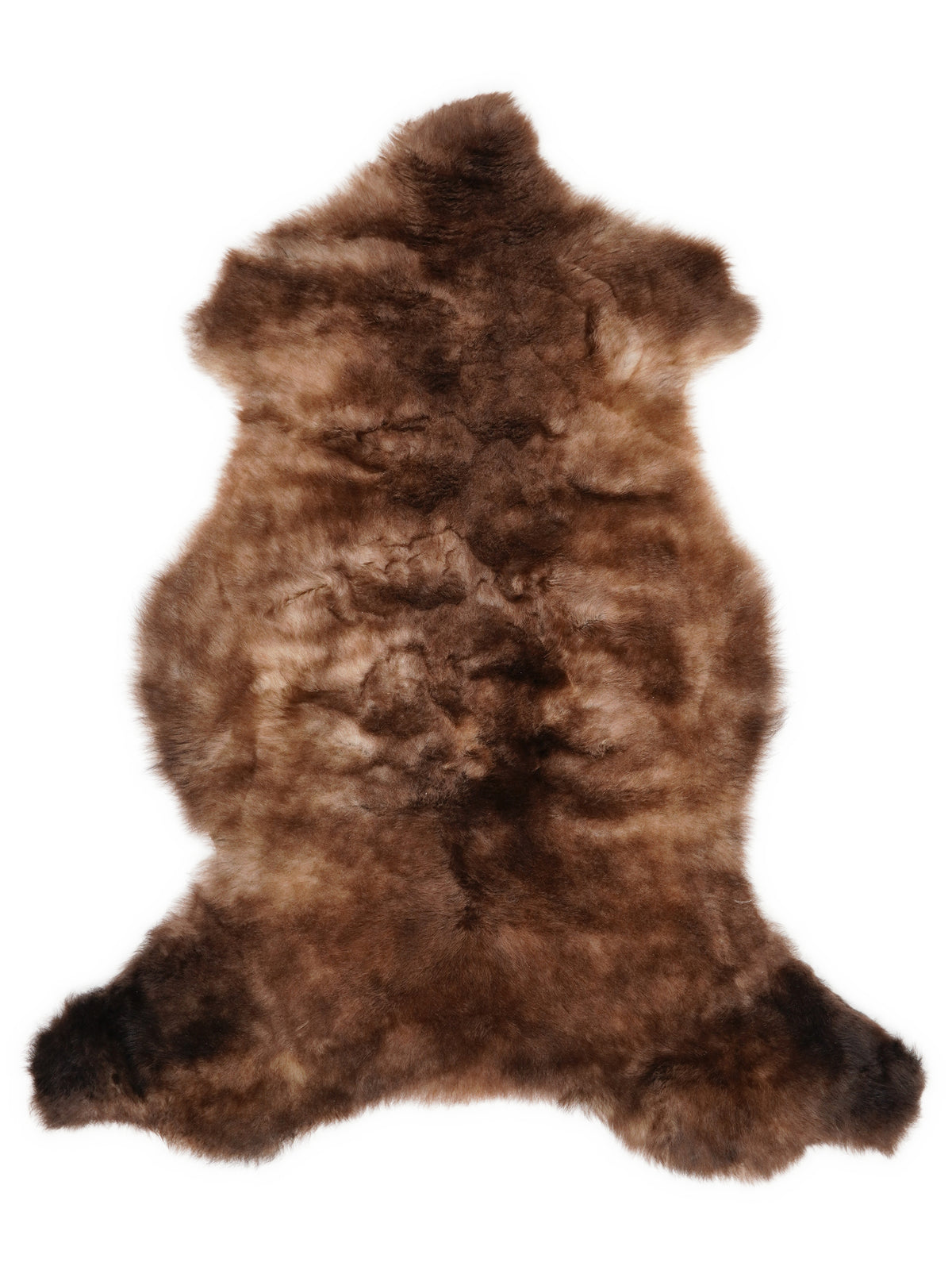 British multicolour sheepskin rug of about 110 × 60 cm, seen from above: the exact sheepskin you receive