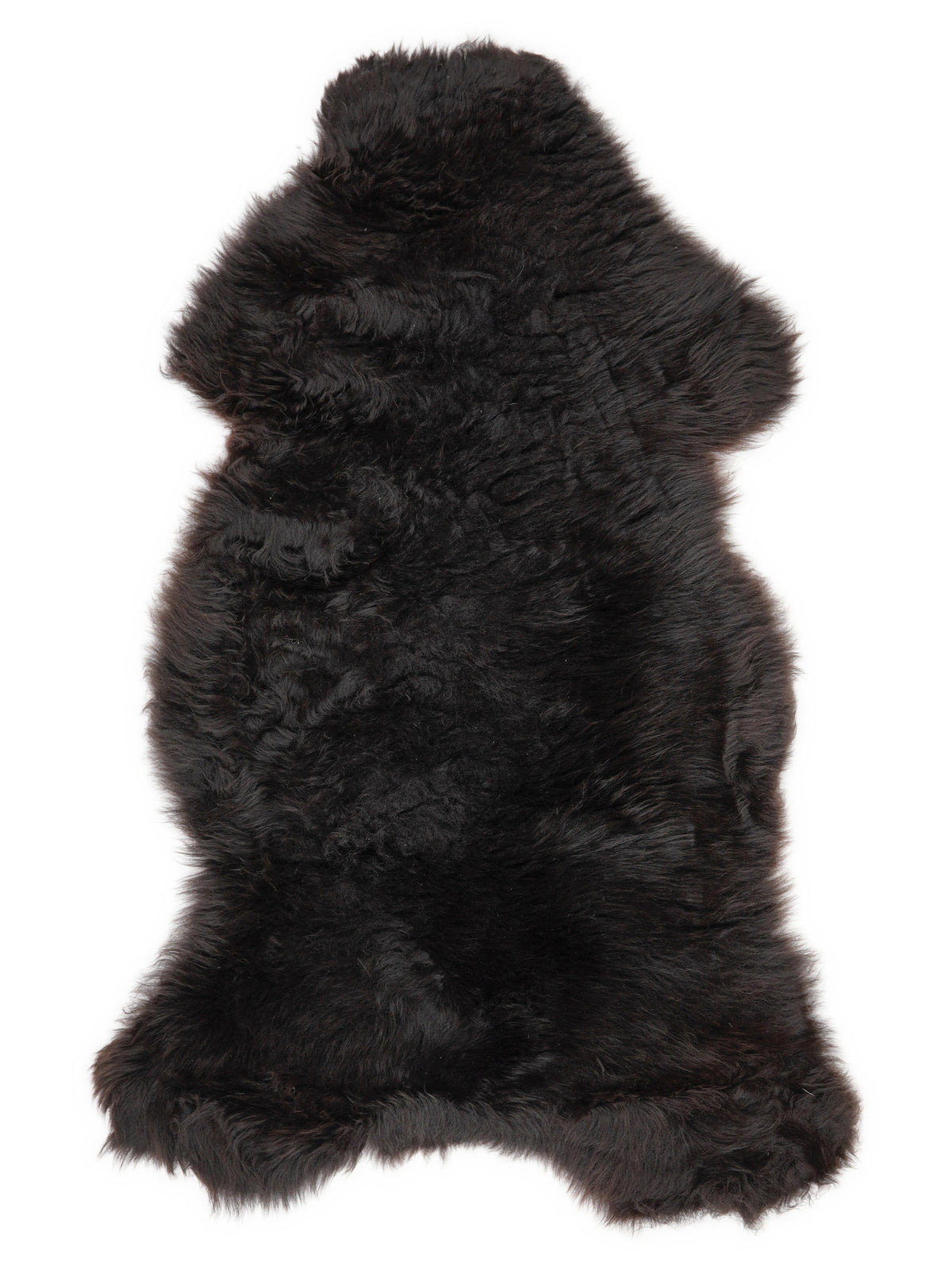 British multicolour sheepskin rug of about 110 × 60 cm, seen from above: the exact sheepskin you receive