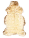 British multicolour sheepskin rug of about 105 × 60 cm, seen from above: the exact sheepskin you receive