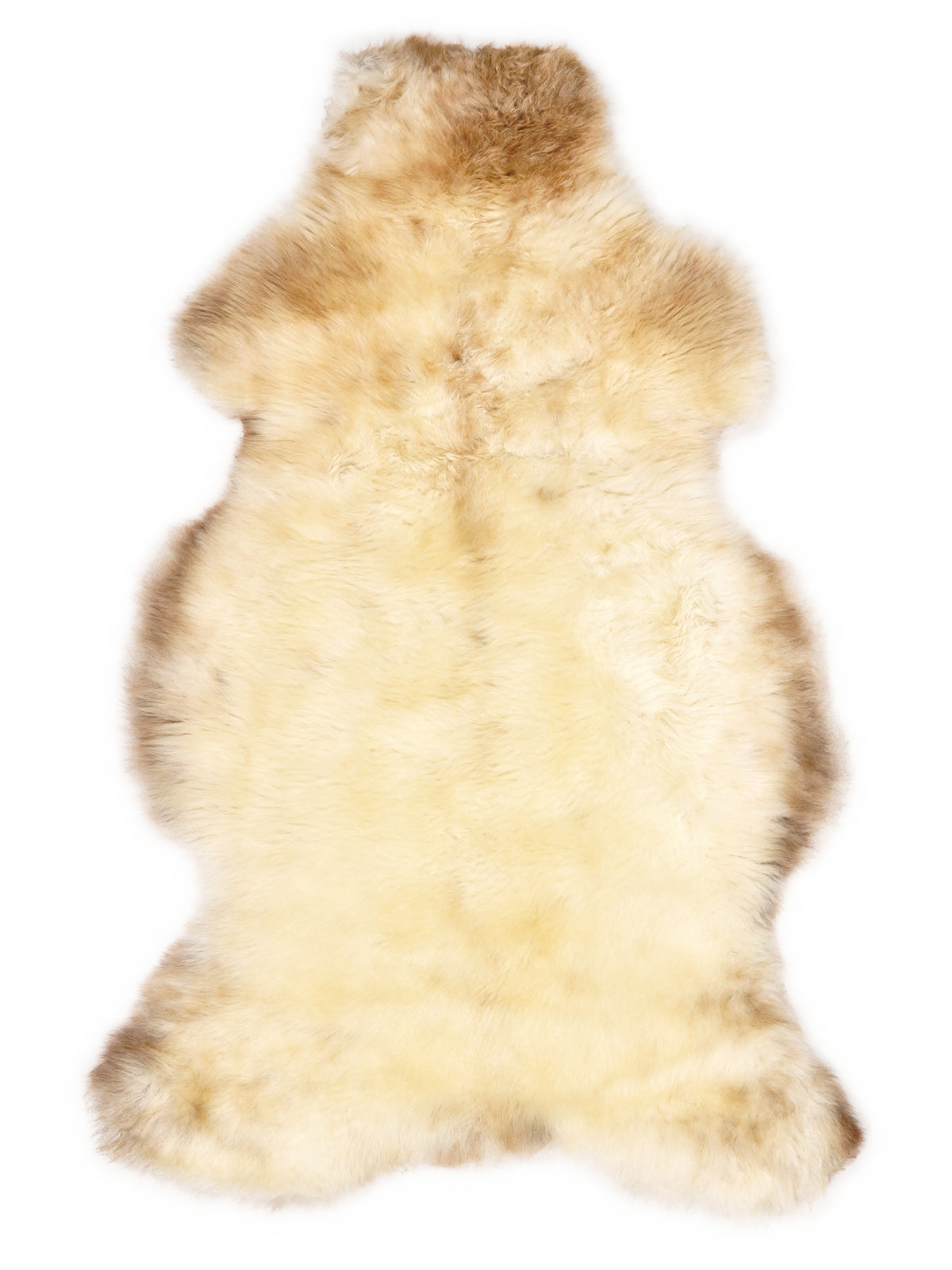 British multicolour sheepskin rug of about 105 × 60 cm, seen from above: the exact sheepskin you receive