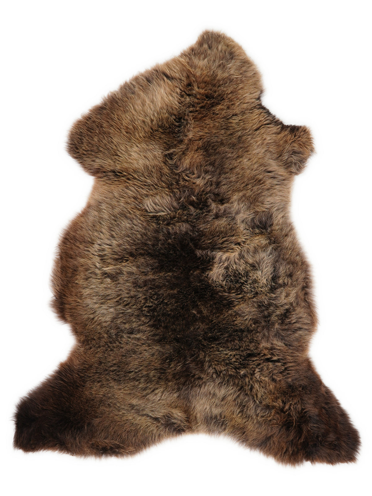 British multicolour sheepskin rug of about 105 × 60 cm, seen from above: the exact sheepskin you receive