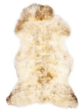 British multicolour sheepskin rug of about 120 × 60 cm, seen from above: the exact sheepskin you receive