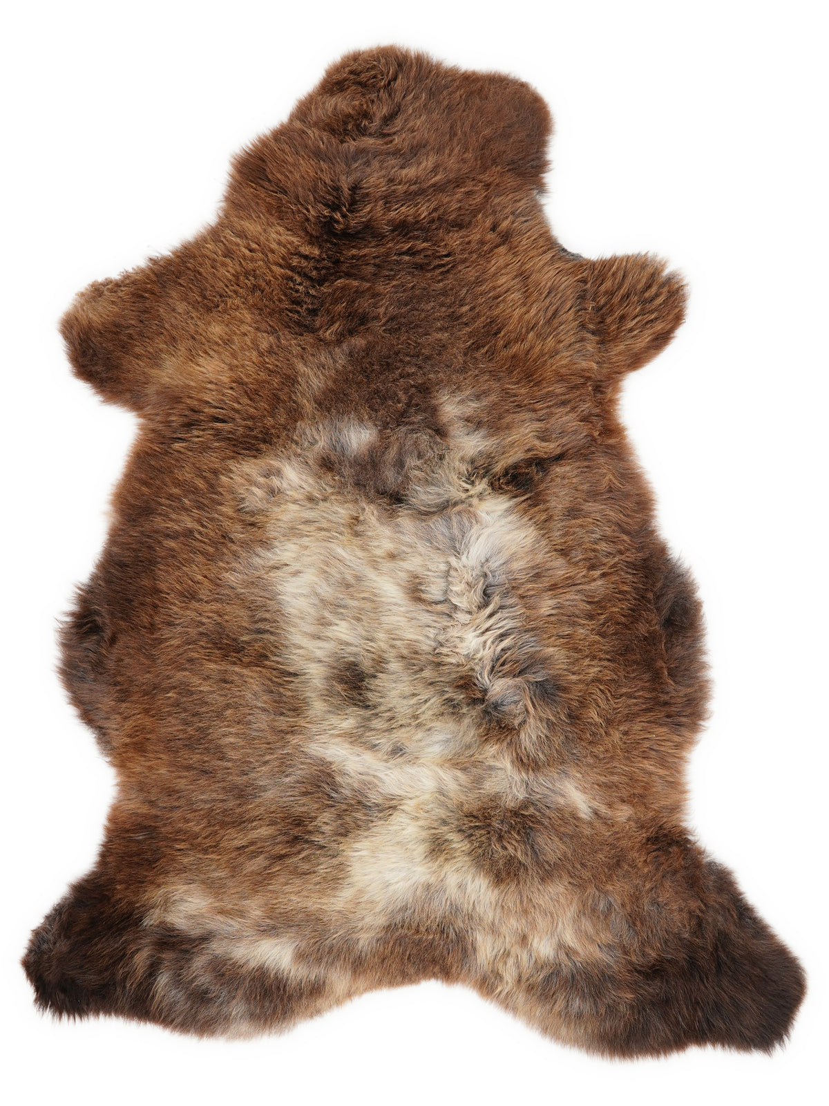 British multicolour sheepskin rug of about 110 × 65 cm, seen from above: the exact sheepskin you receive