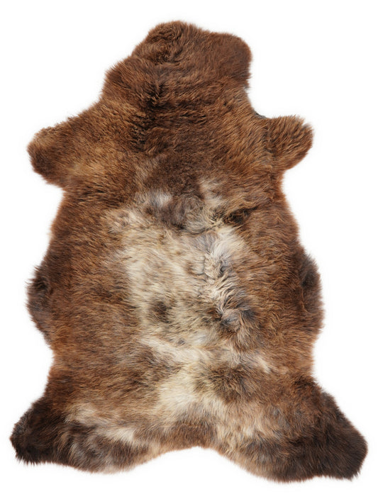 British multicolour sheepskin rug of about 110 × 65 cm, seen from above: the exact sheepskin you receive