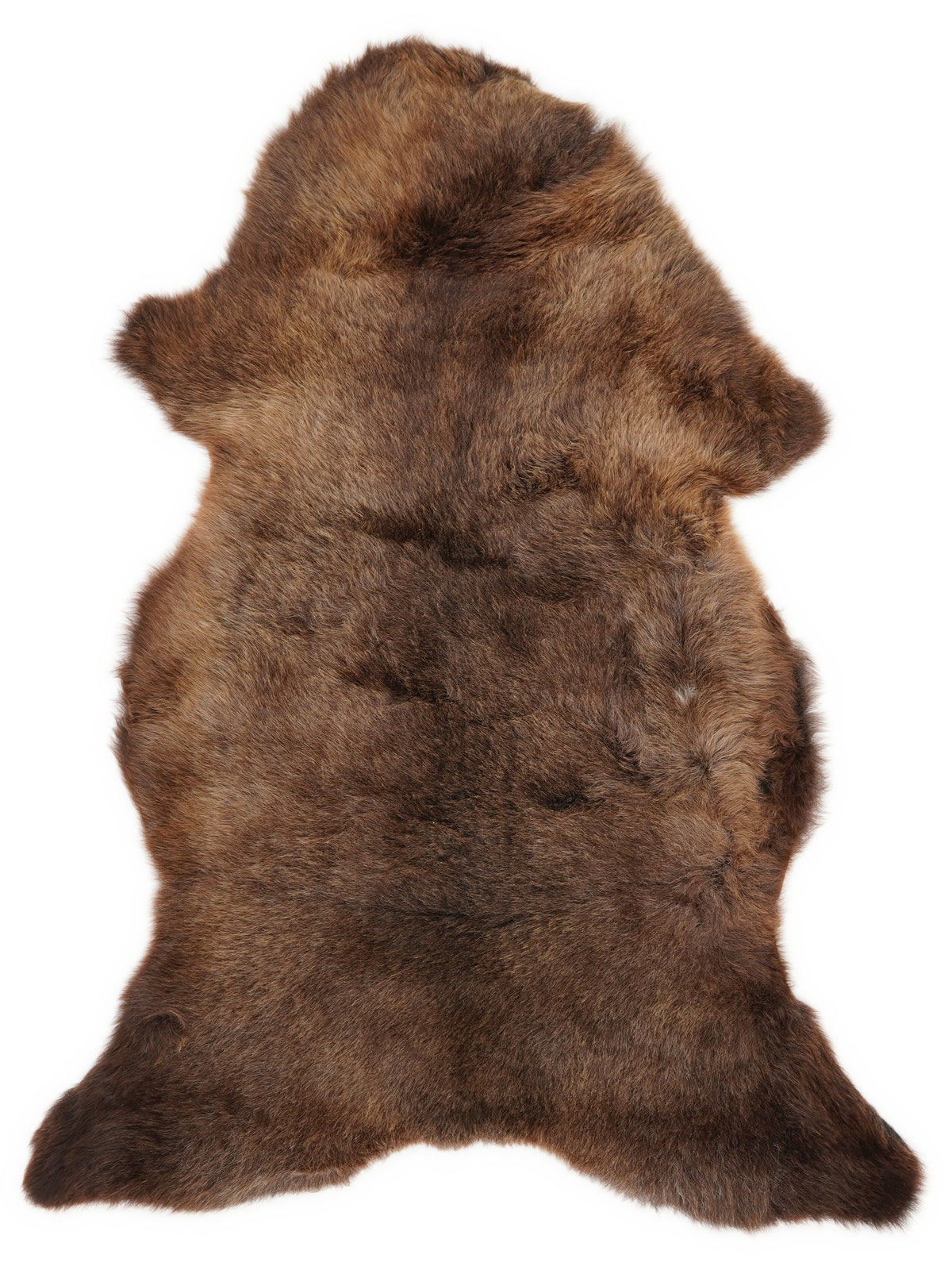 British multicolour sheepskin rug of about 115 × 60 cm, seen from above: the exact sheepskin you receive