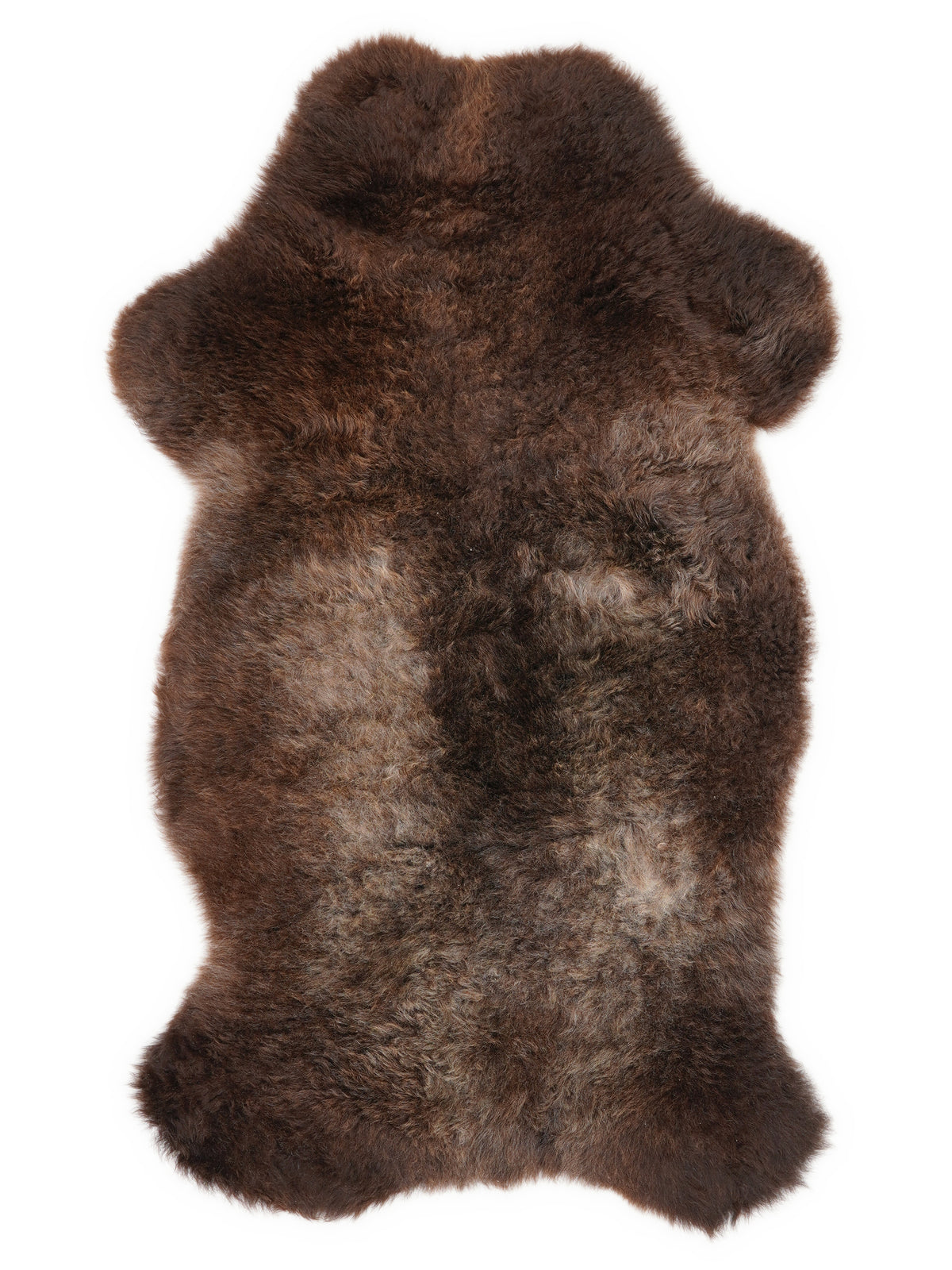 British multicolour sheepskin rug of about 100 × 50 cm, seen from above: the exact sheepskin you receive