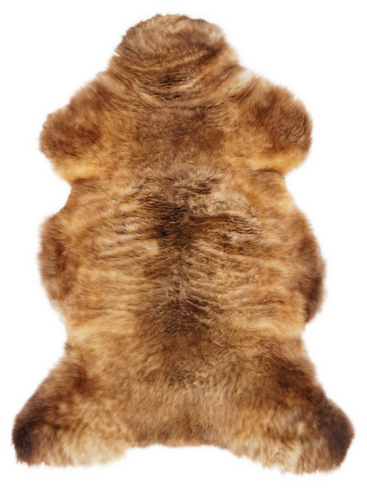 British multicolour sheepskin rug of about 115 × 65 cm, seen from above: the exact sheepskin you receive