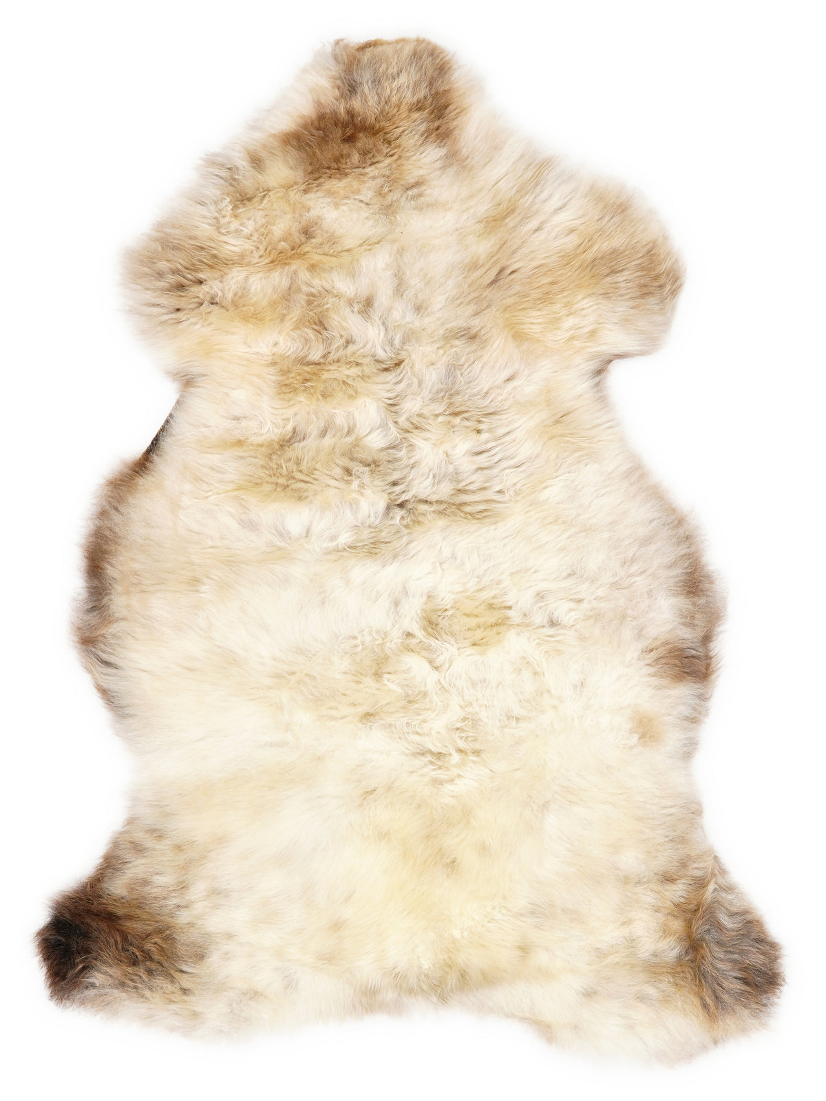 British multicolour sheepskin rug of about 100 × 60 cm, seen from above: the exact sheepskin you receive