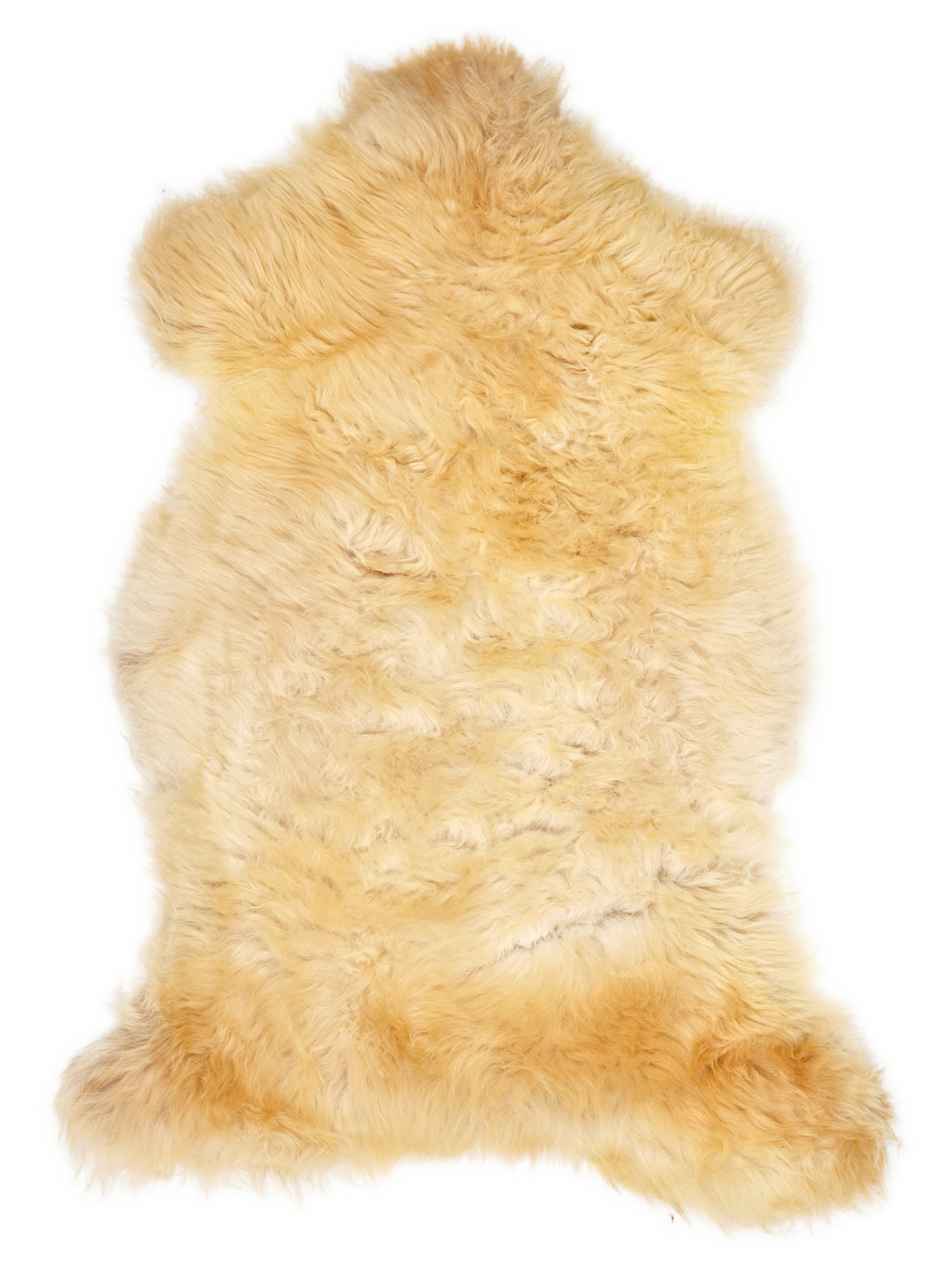 British multicolour sheepskin rug of about 130 × 70 cm, seen from above: the exact sheepskin you receive