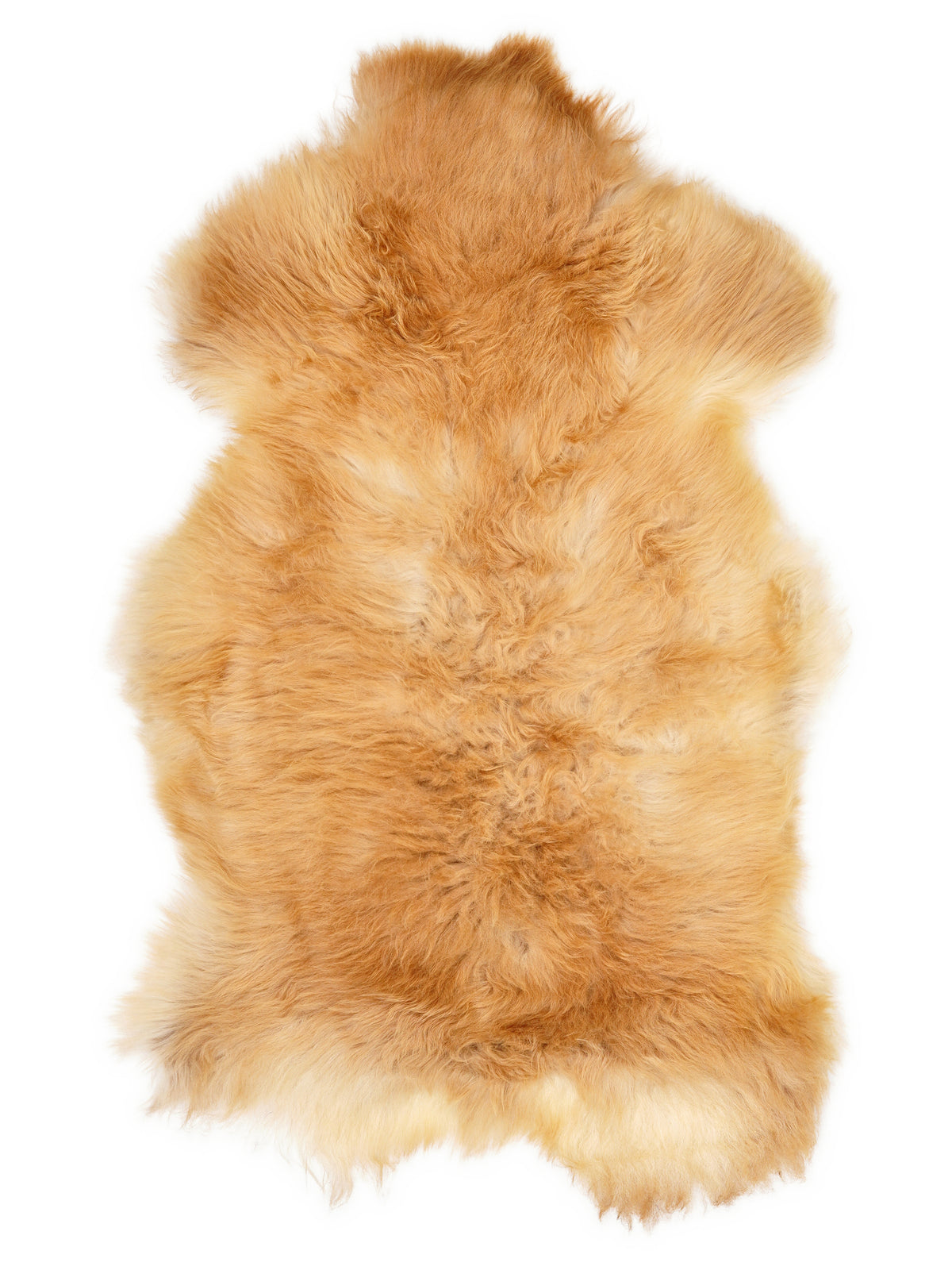 British multicolour sheepskin rug of about 120 × 70 cm, seen from above: the exact sheepskin you receive