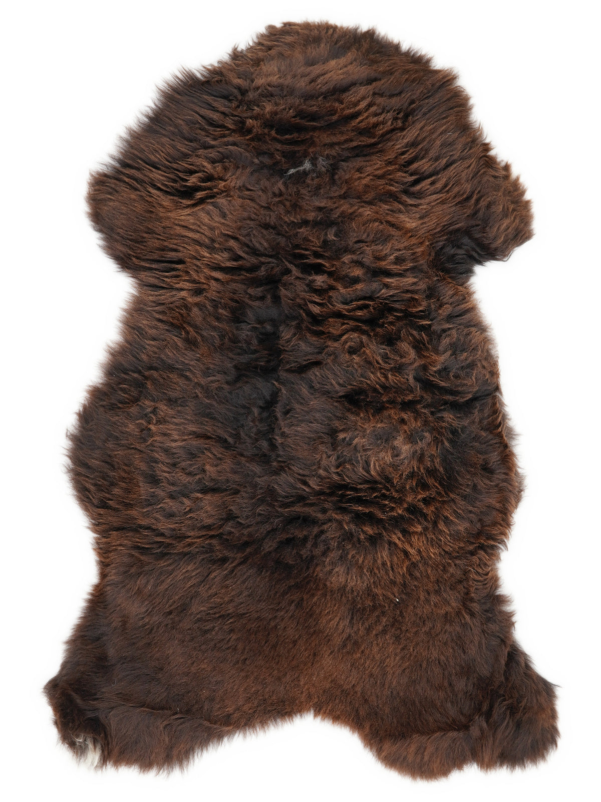 Brown sheepskin rug of about 120 × 65 cm, seen from above: the exact sheepskin you receive