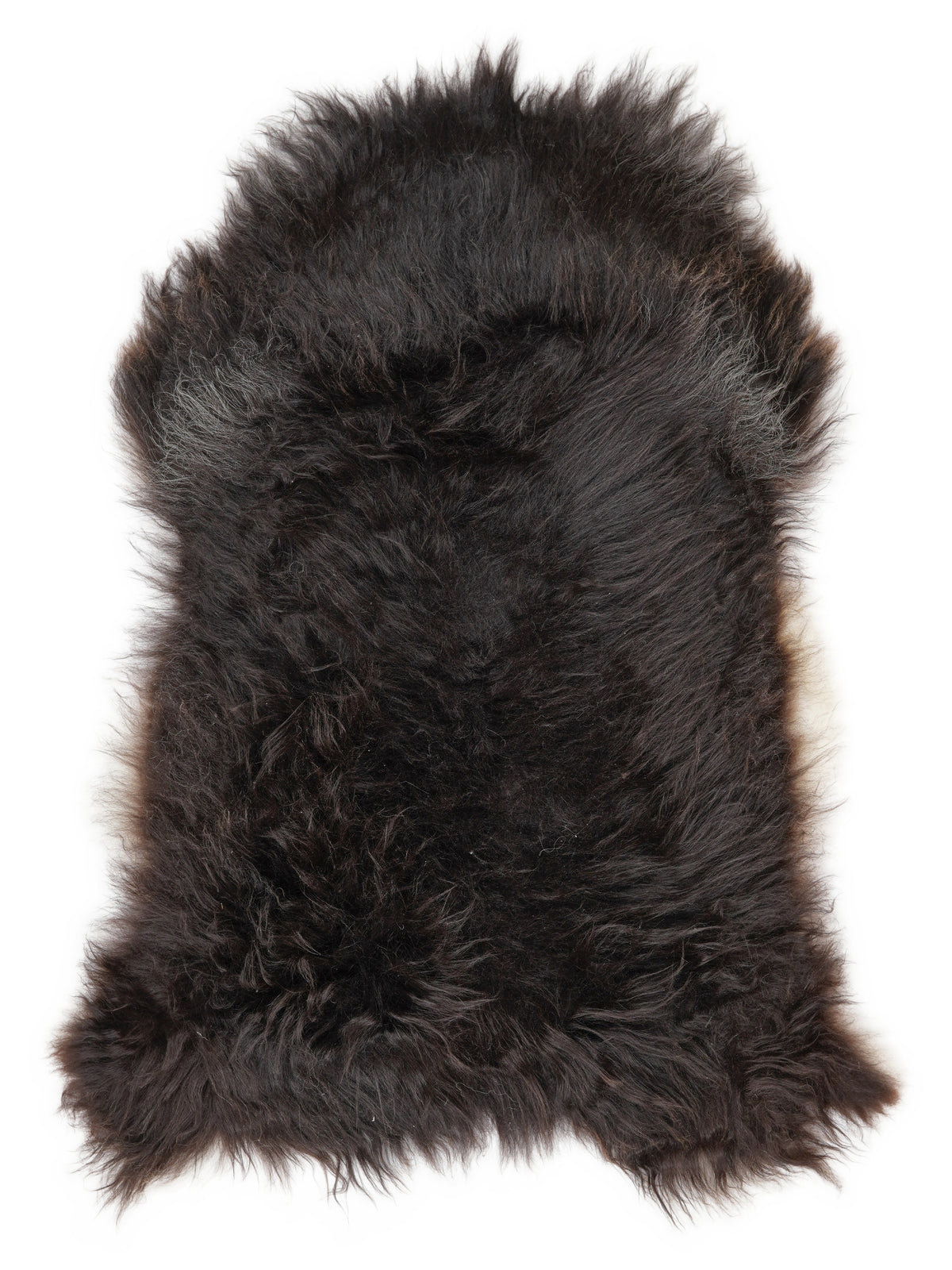 Icelandic multicolour sheepskin rug of about 110 × 65 cm, seen from above: the exact sheepskin you receive