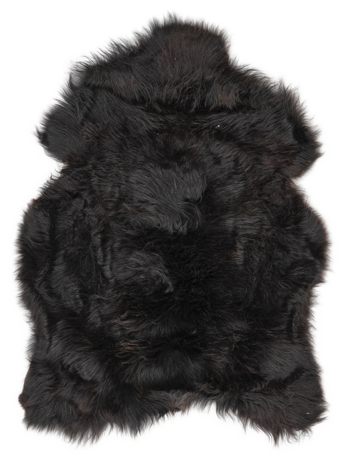 Icelandic multicolour sheepskin rug of about 120 × 80 cm, seen from above: the exact sheepskin you receive