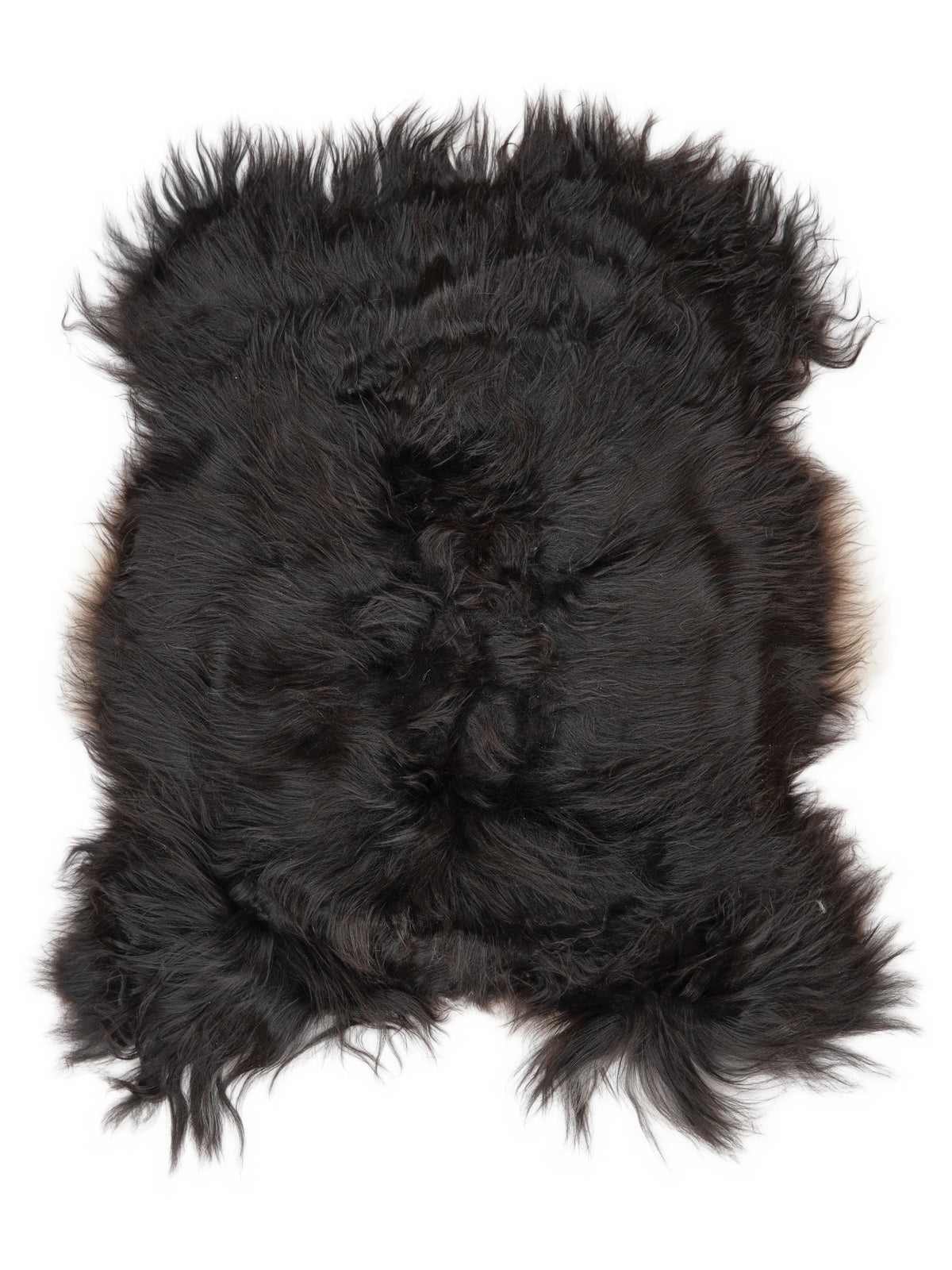 Icelandic multicolour sheepskin rug of about 110 × 80 cm, seen from above: the exact sheepskin you receive