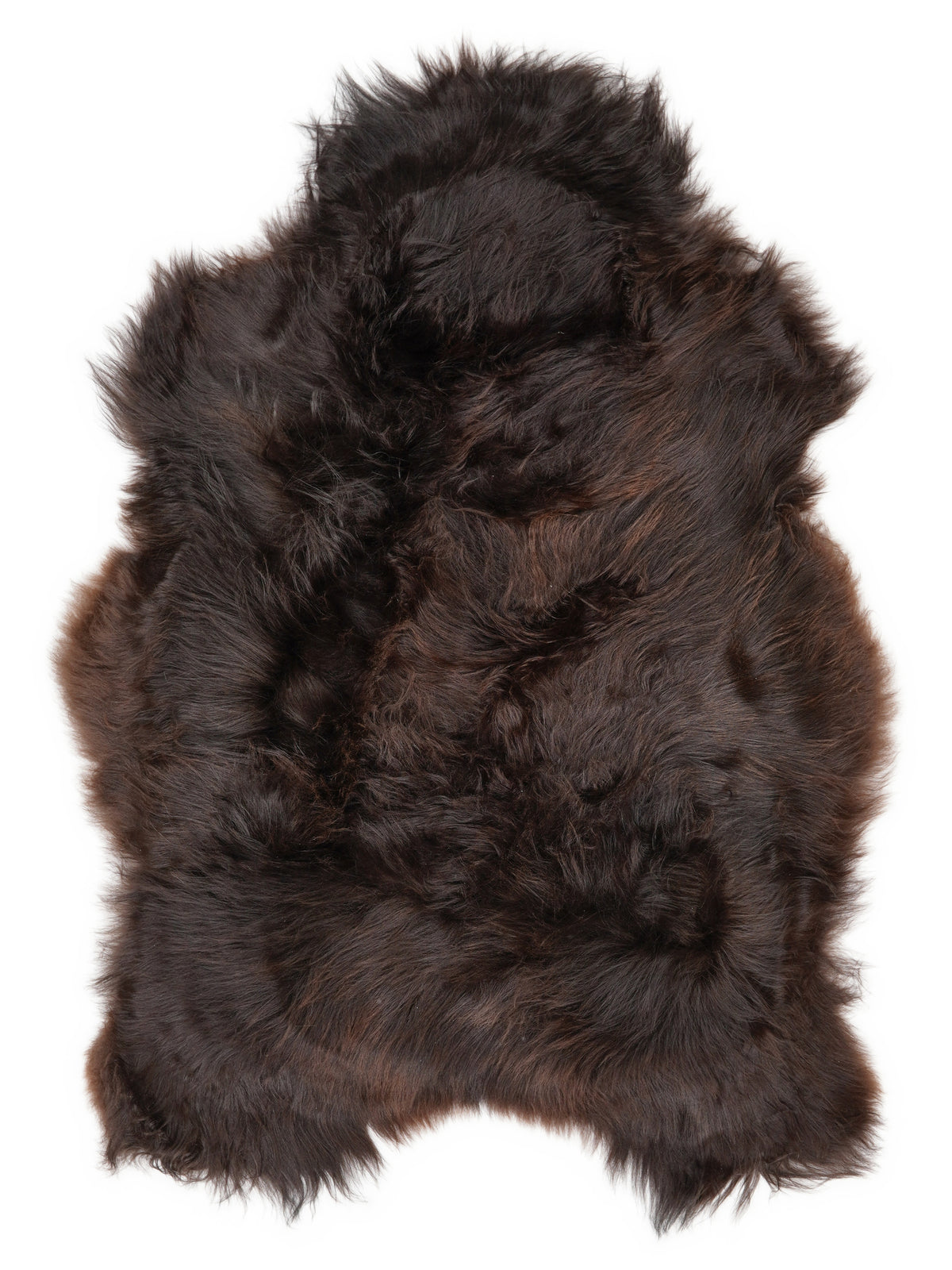 Icelandic multicolour sheepskin rug of about 110 × 80 cm, seen from above: the exact sheepskin you receive