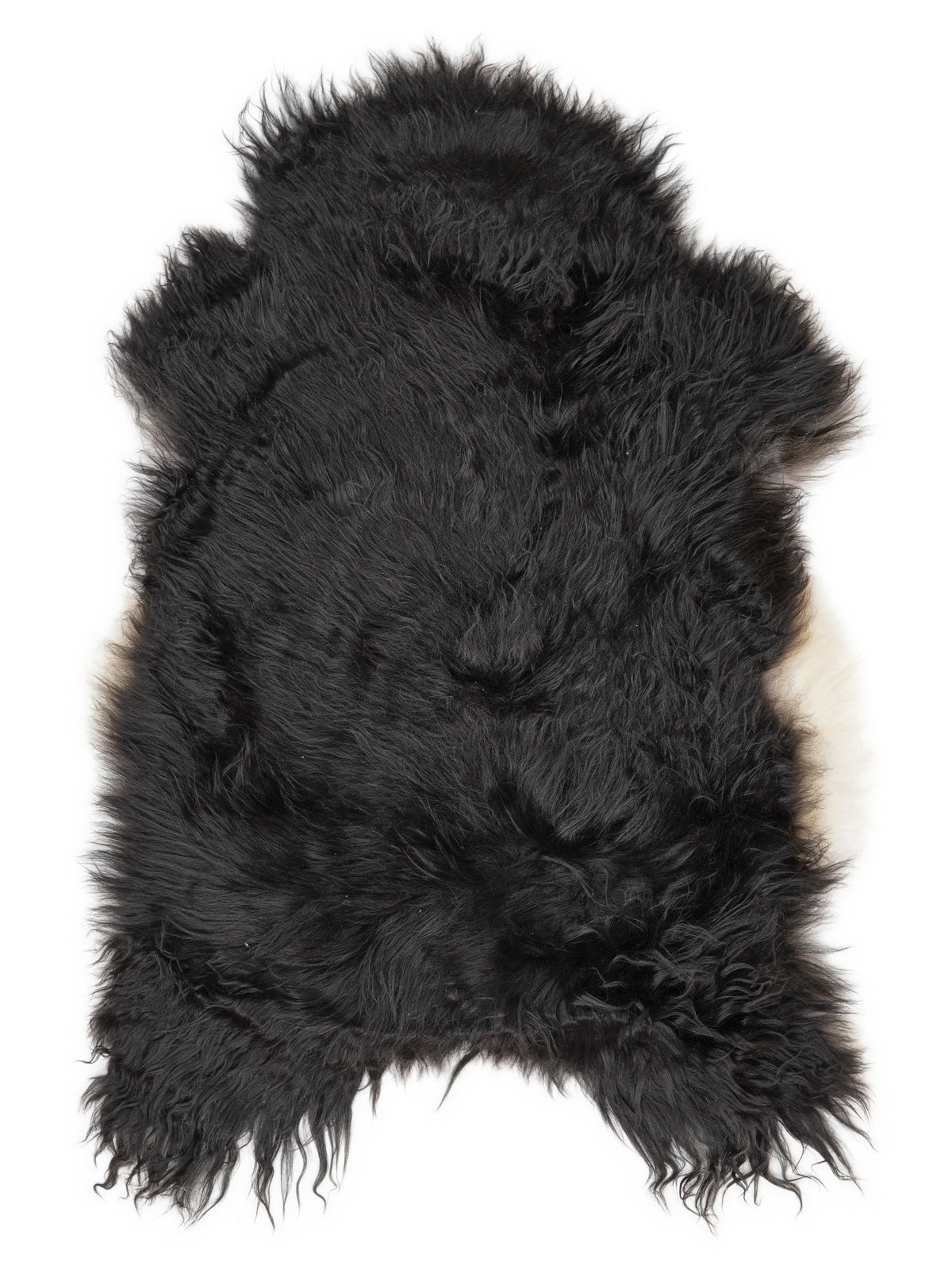Icelandic multicolour sheepskin rug of about 120 × 75 cm, seen from above: the exact sheepskin you receive