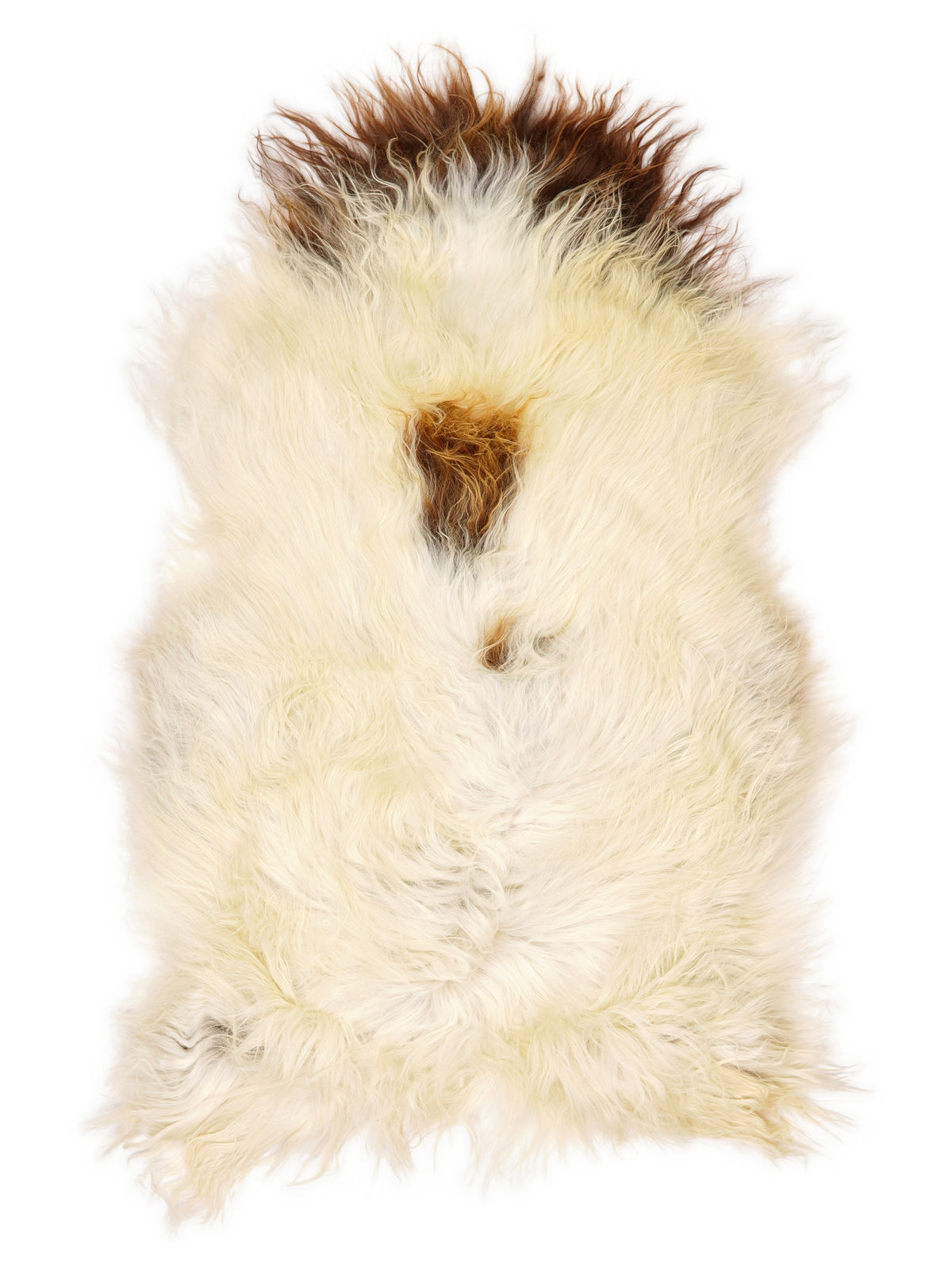 Icelandic multicolour sheepskin rug of about 130 × 80 cm, seen from above: the exact sheepskin you receive