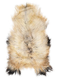 Icelandic multicolour sheepskin rug of about 120 × 70 cm, seen from above: the exact sheepskin you receive