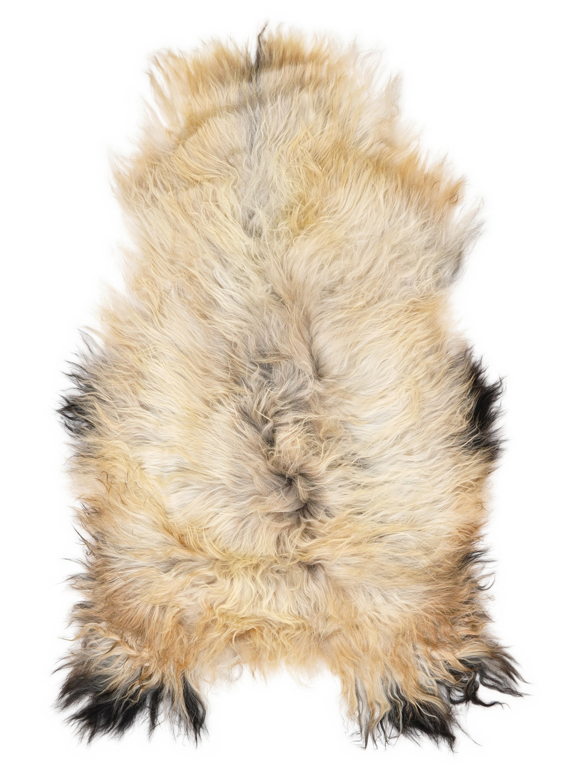 Icelandic multicolour sheepskin rug of about 120 × 70 cm, seen from above: the exact sheepskin you receive