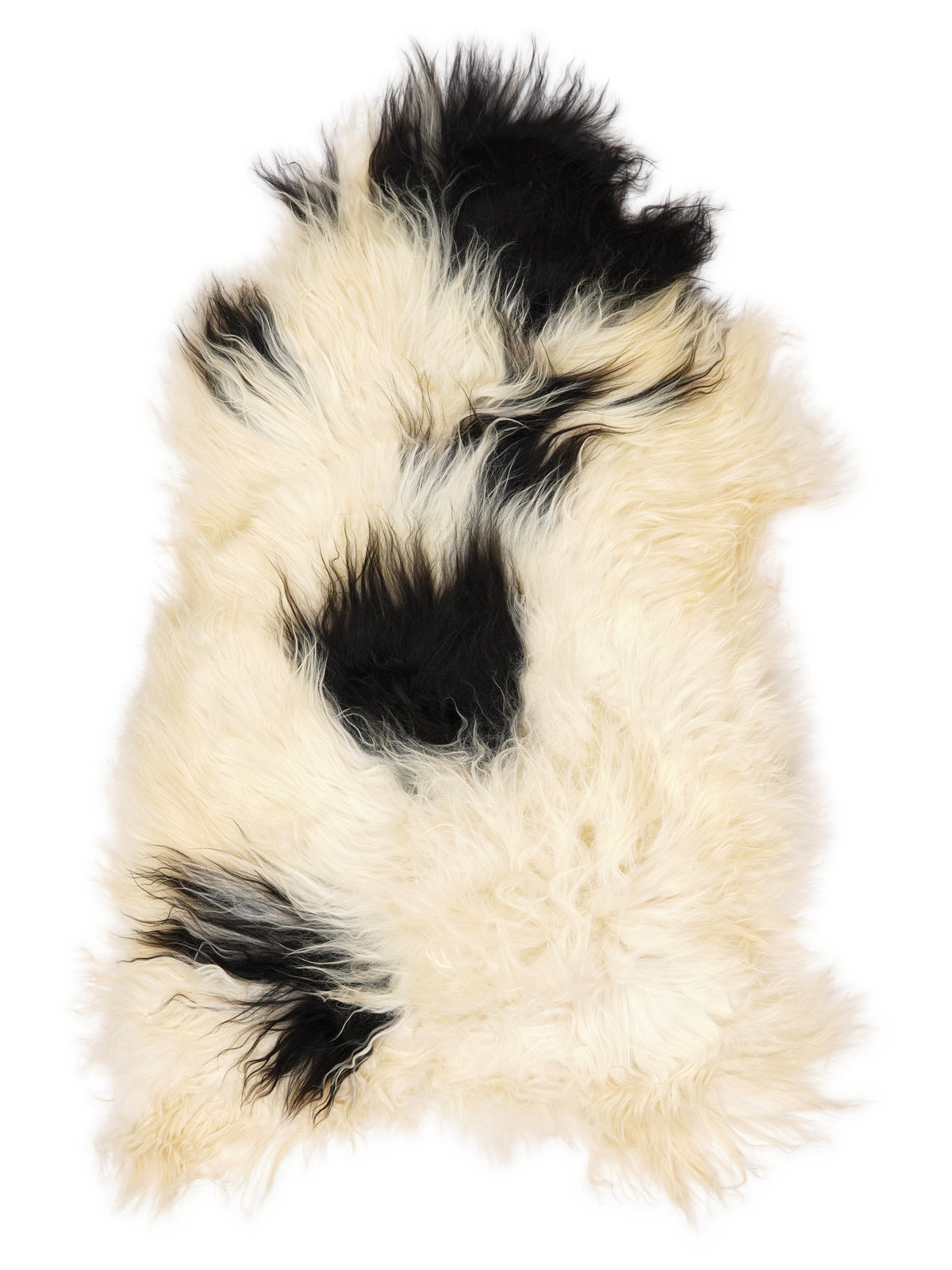 Icelandic multicolour sheepskin rug of about 120 × 70 cm, seen from above: the exact sheepskin you receive