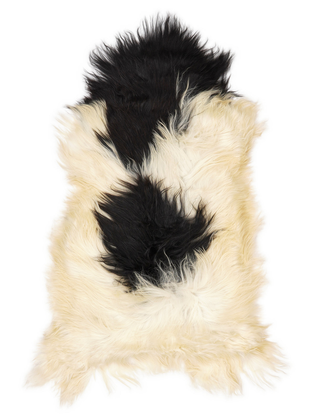 Icelandic multicolour sheepskin rug of about 120 × 60 cm, seen from above: the exact sheepskin you receive