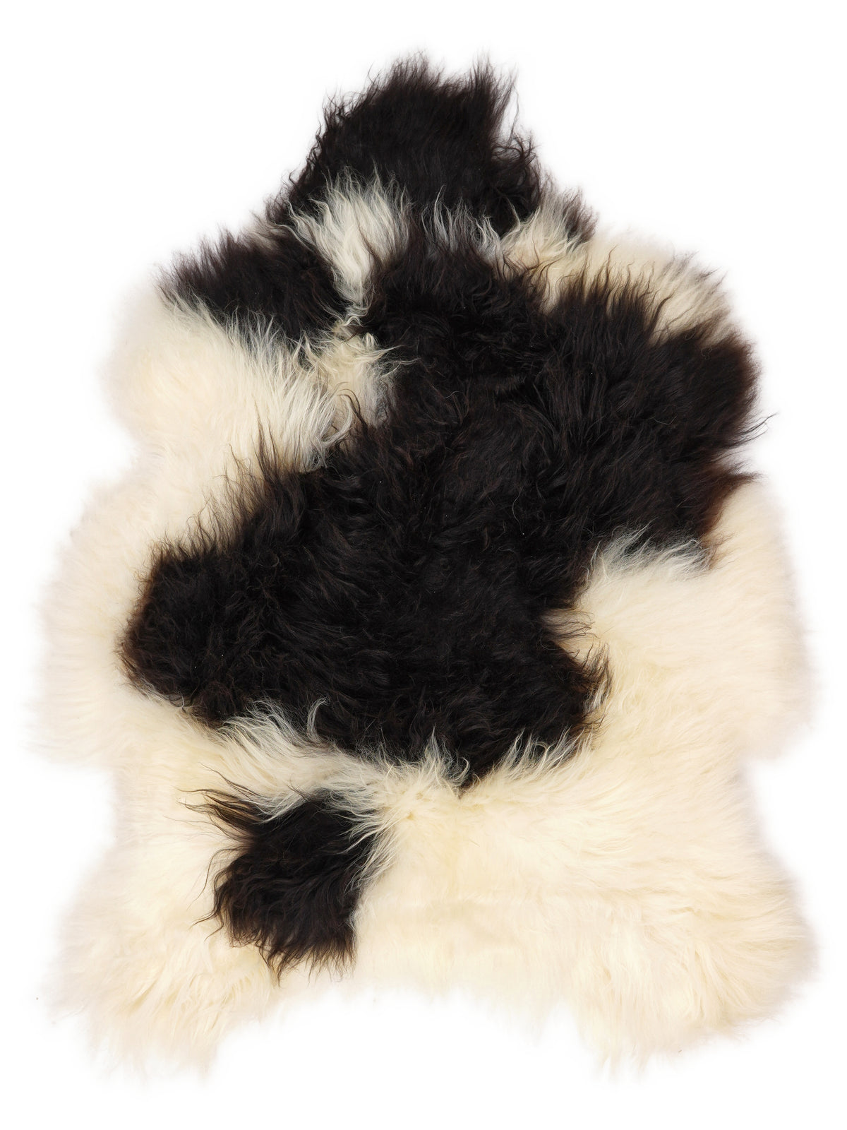 Icelandic multicolour sheepskin rug of about 110 × 80 cm, seen from above: the exact sheepskin you receive
