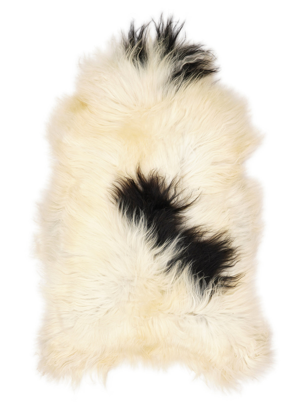 Icelandic multicolour sheepskin rug of about 120 × 70 cm, seen from above: the exact sheepskin you receive