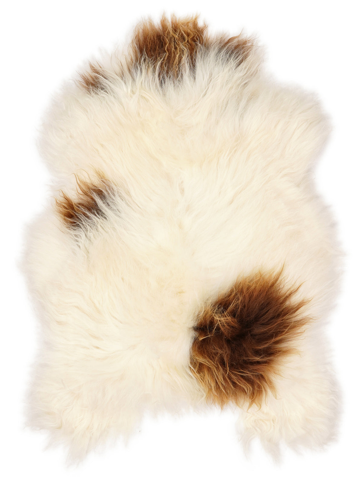 Icelandic multicolour sheepskin rug of about 110 × 75 cm, seen from above: the exact sheepskin you receive