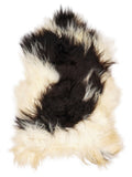 Icelandic multicolour sheepskin rug of about 120 × 75 cm, seen from above: the exact sheepskin you receive