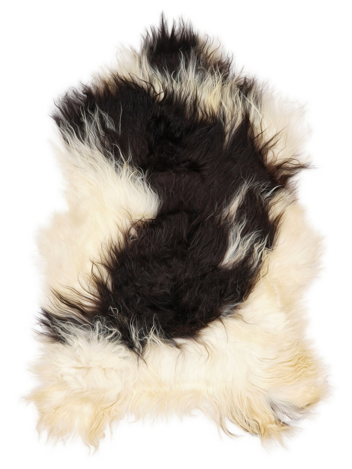 Icelandic multicolour sheepskin rug of about 120 × 75 cm, seen from above: the exact sheepskin you receive