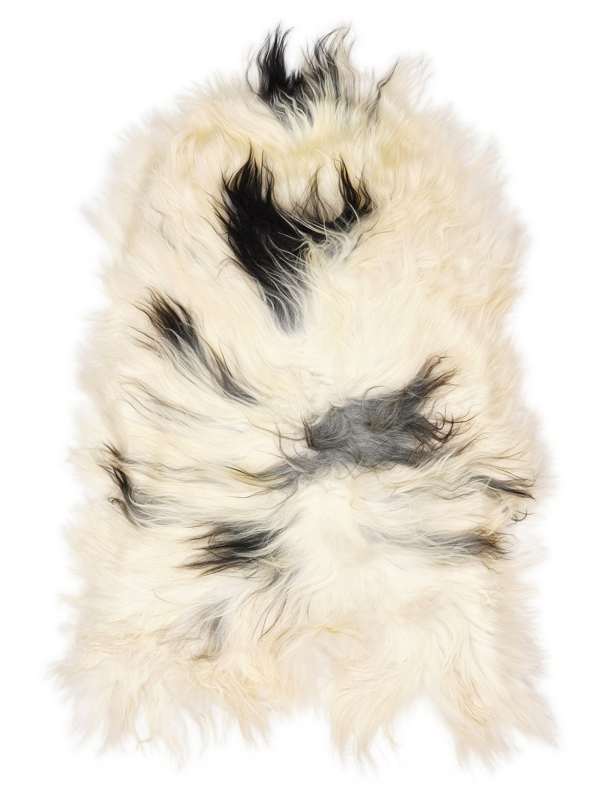 Icelandic multicolour sheepskin rug of about 120 × 75 cm, seen from above: the exact sheepskin you receive