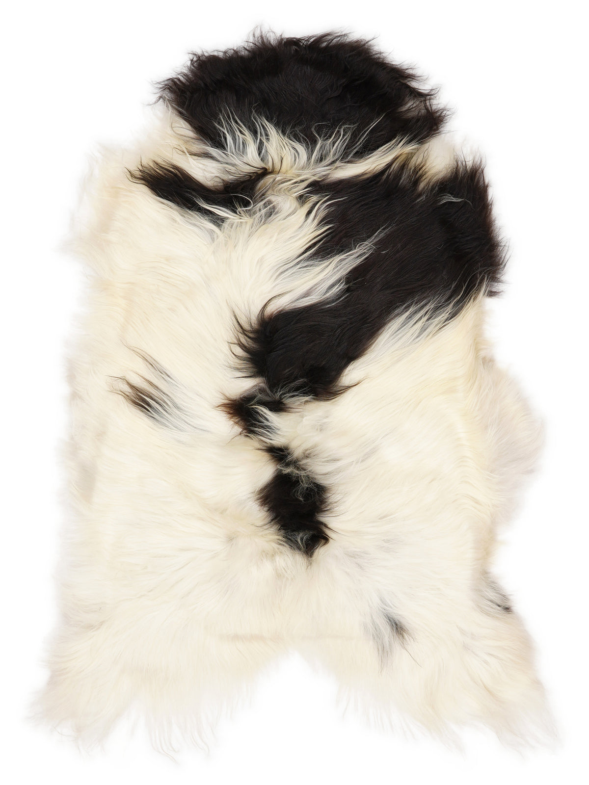 Icelandic multicolour sheepskin rug of about 120 × 70 cm, seen from above: the exact sheepskin you receive