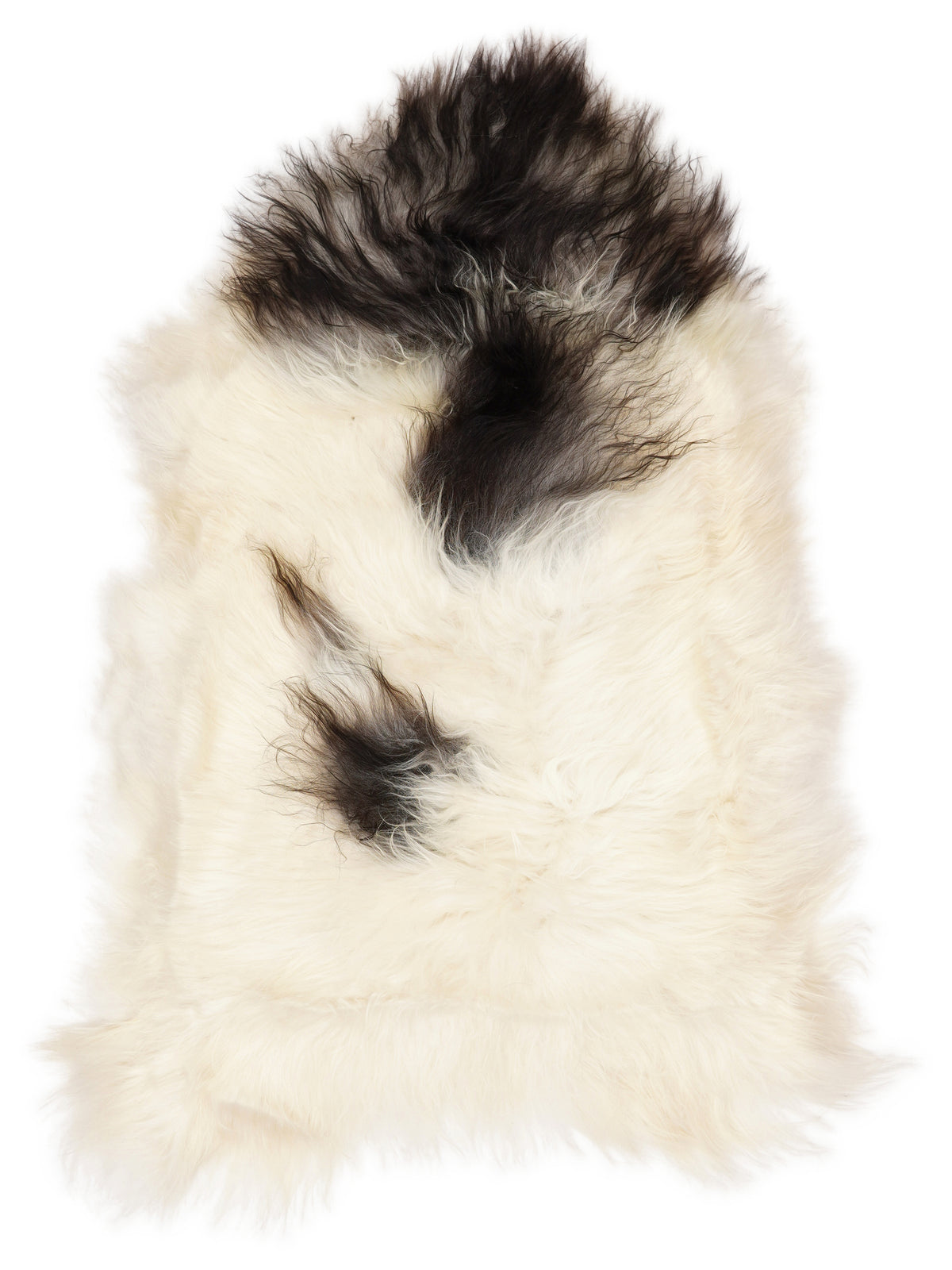 Icelandic multicolour sheepskin rug of about 110 × 70 cm, seen from above: the exact sheepskin you receive