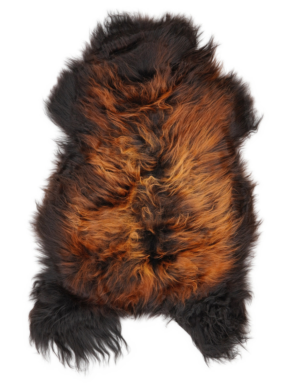 Icelandic multicolour sheepskin rug of about 110 × 65 cm, seen from above: the exact sheepskin you receive