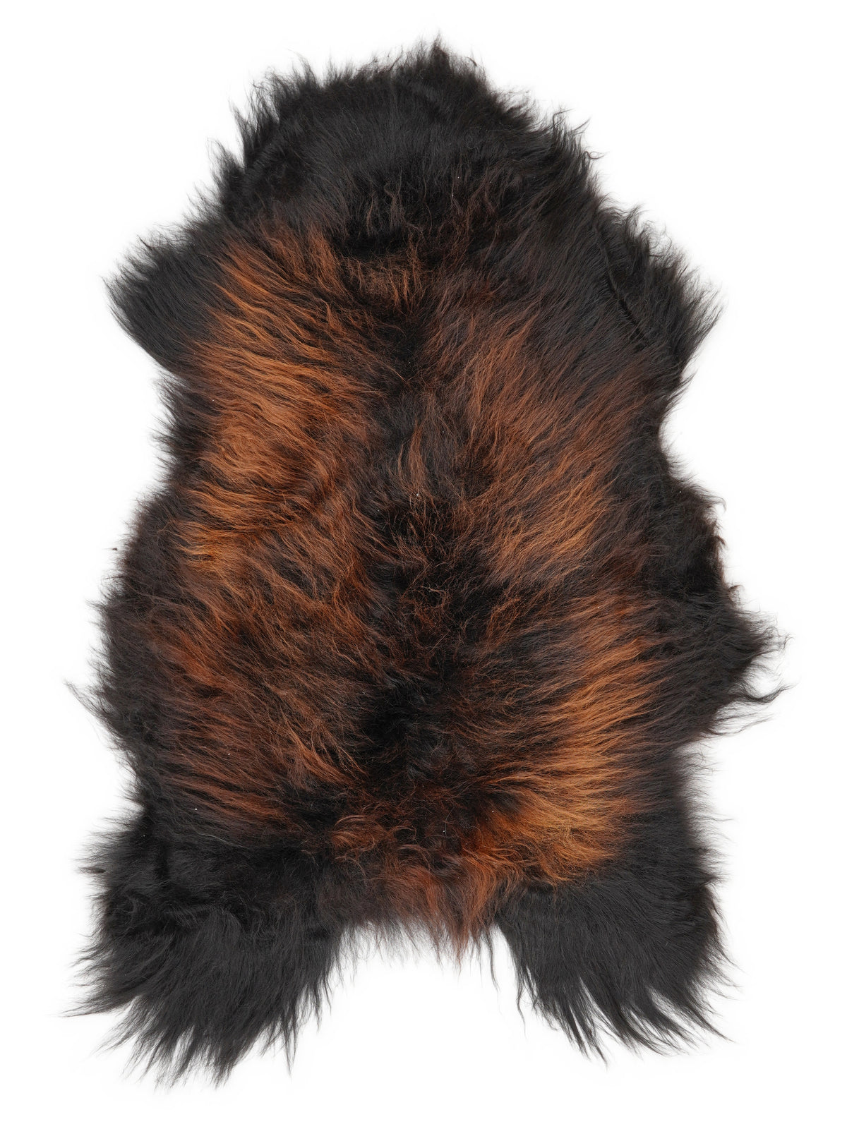 Icelandic multicolour sheepskin rug of about 110 × 65 cm, seen from above: the exact sheepskin you receive