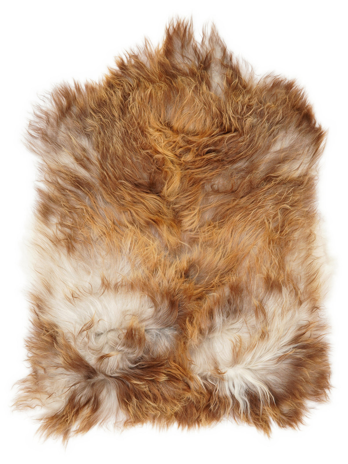 Icelandic multicolour sheepskin rug of about 100 × 70 cm, seen from above: the exact sheepskin you receive