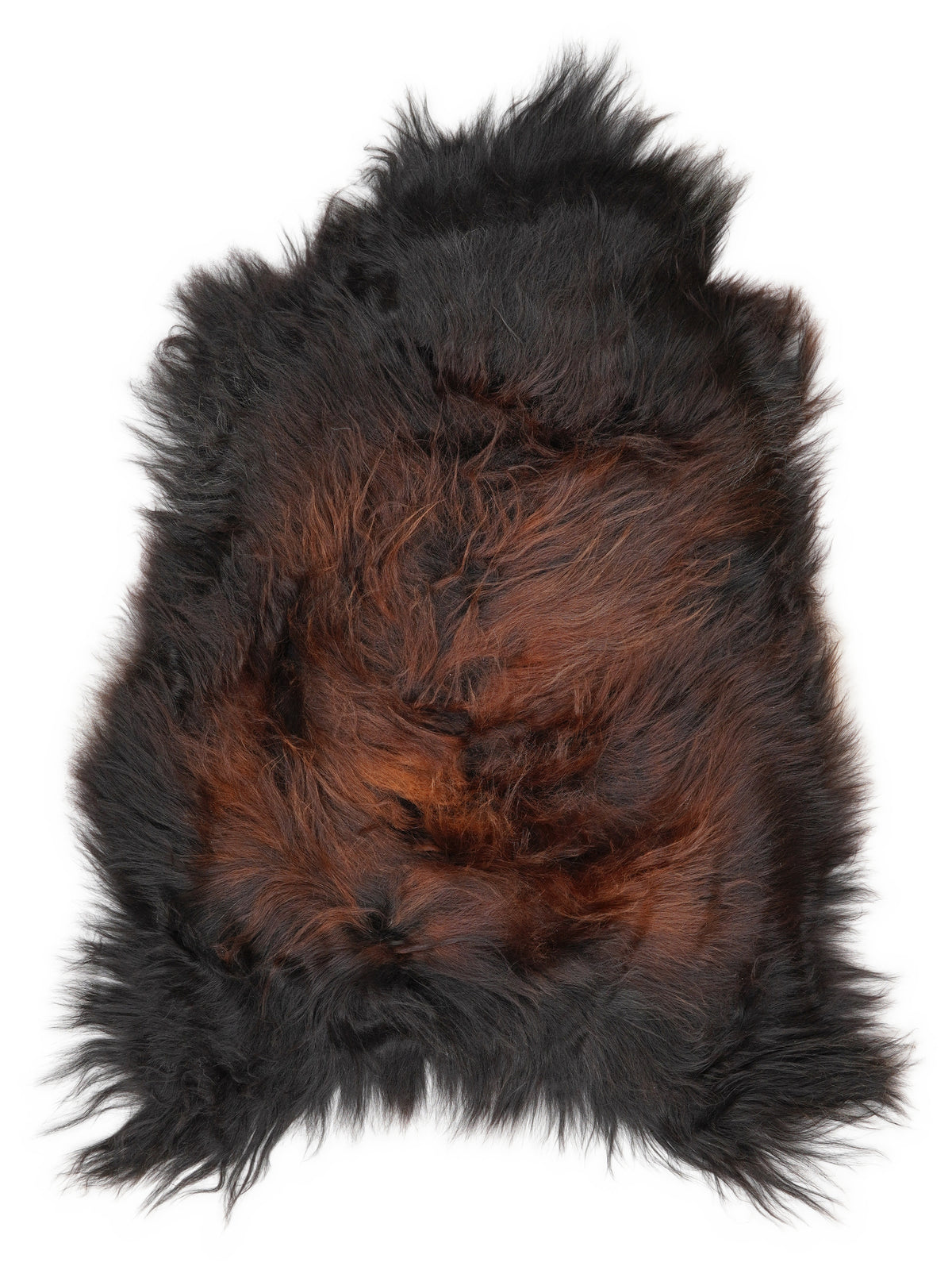 Icelandic multicolour sheepskin rug of about 110 × 70 cm, seen from above: the exact sheepskin you receive