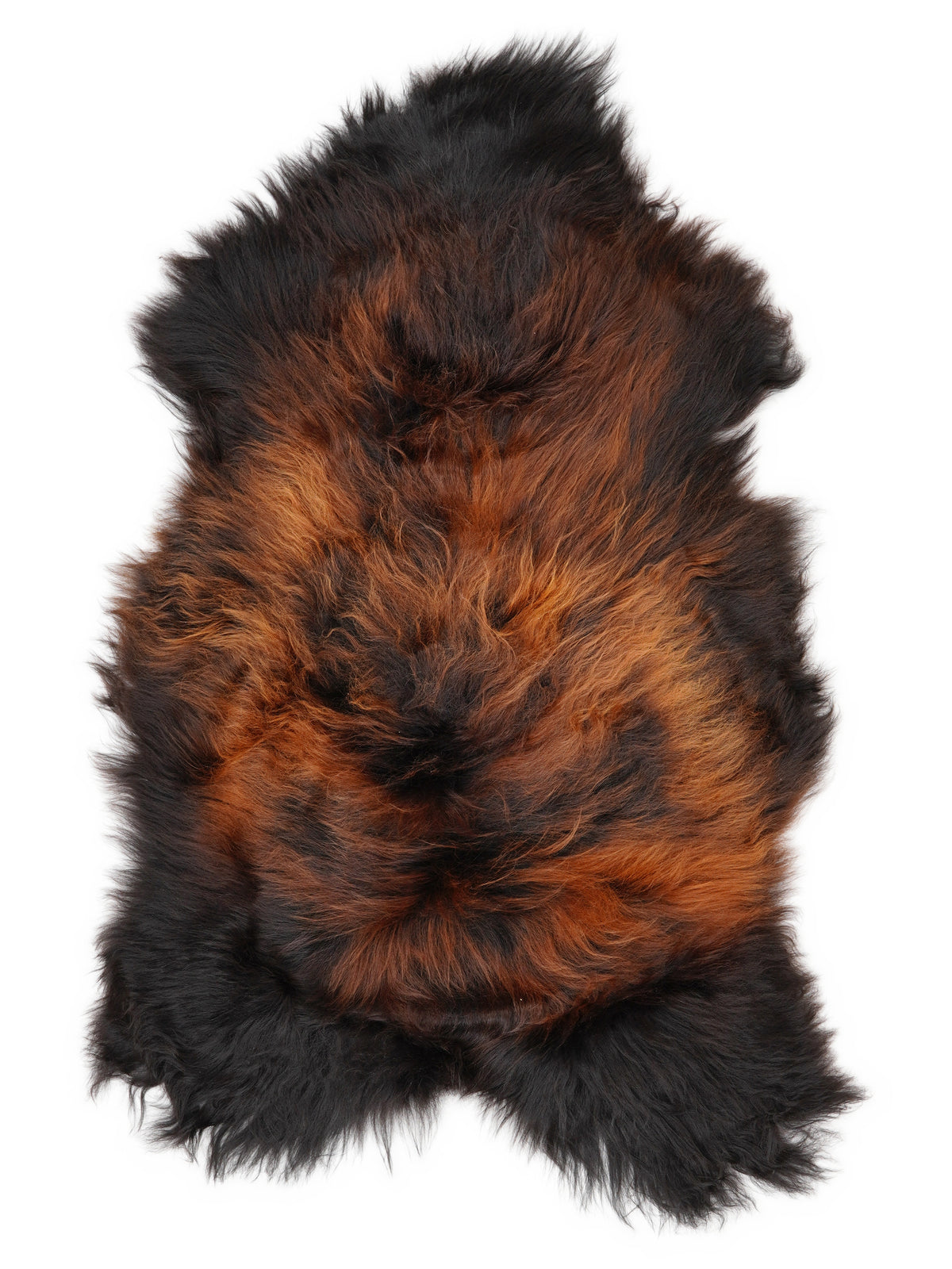Icelandic multicolour sheepskin rug of about 120 × 70 cm, seen from above: the exact sheepskin you receive