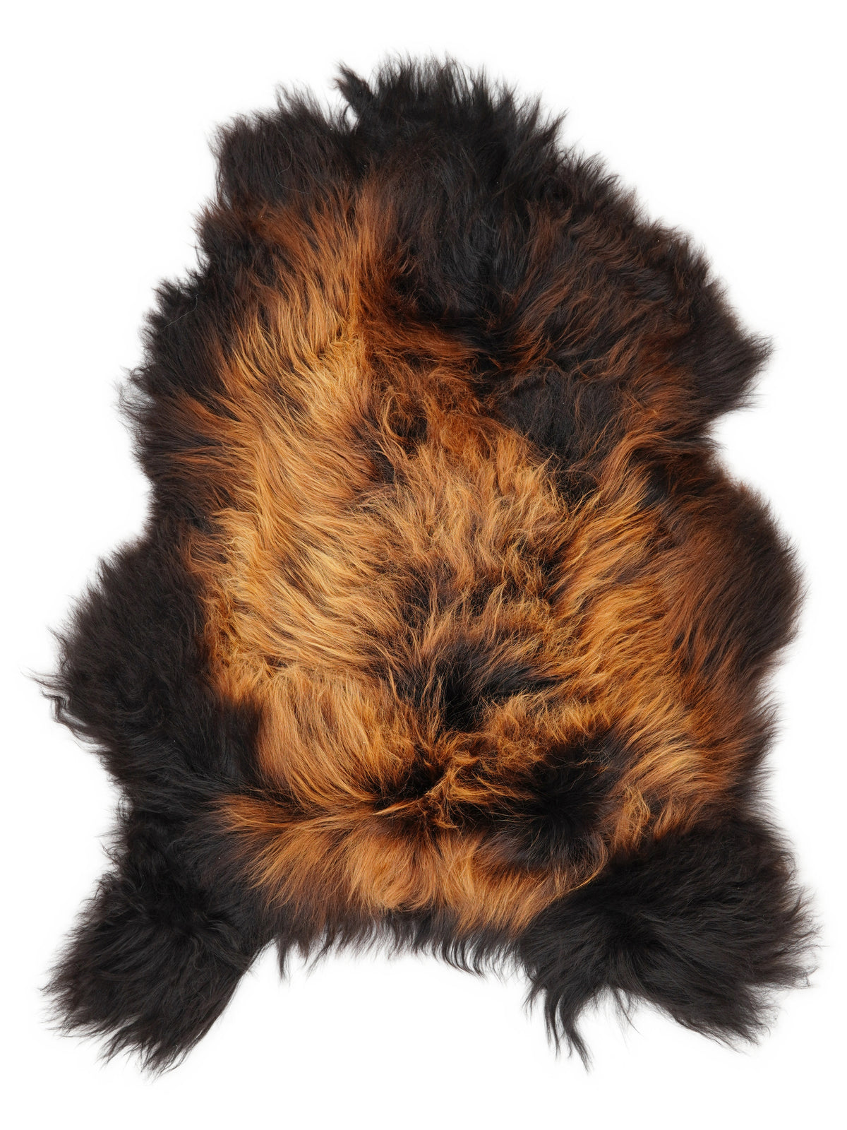 Icelandic multicolour sheepskin rug of about 120 × 80 cm, seen from above: the exact sheepskin you receive