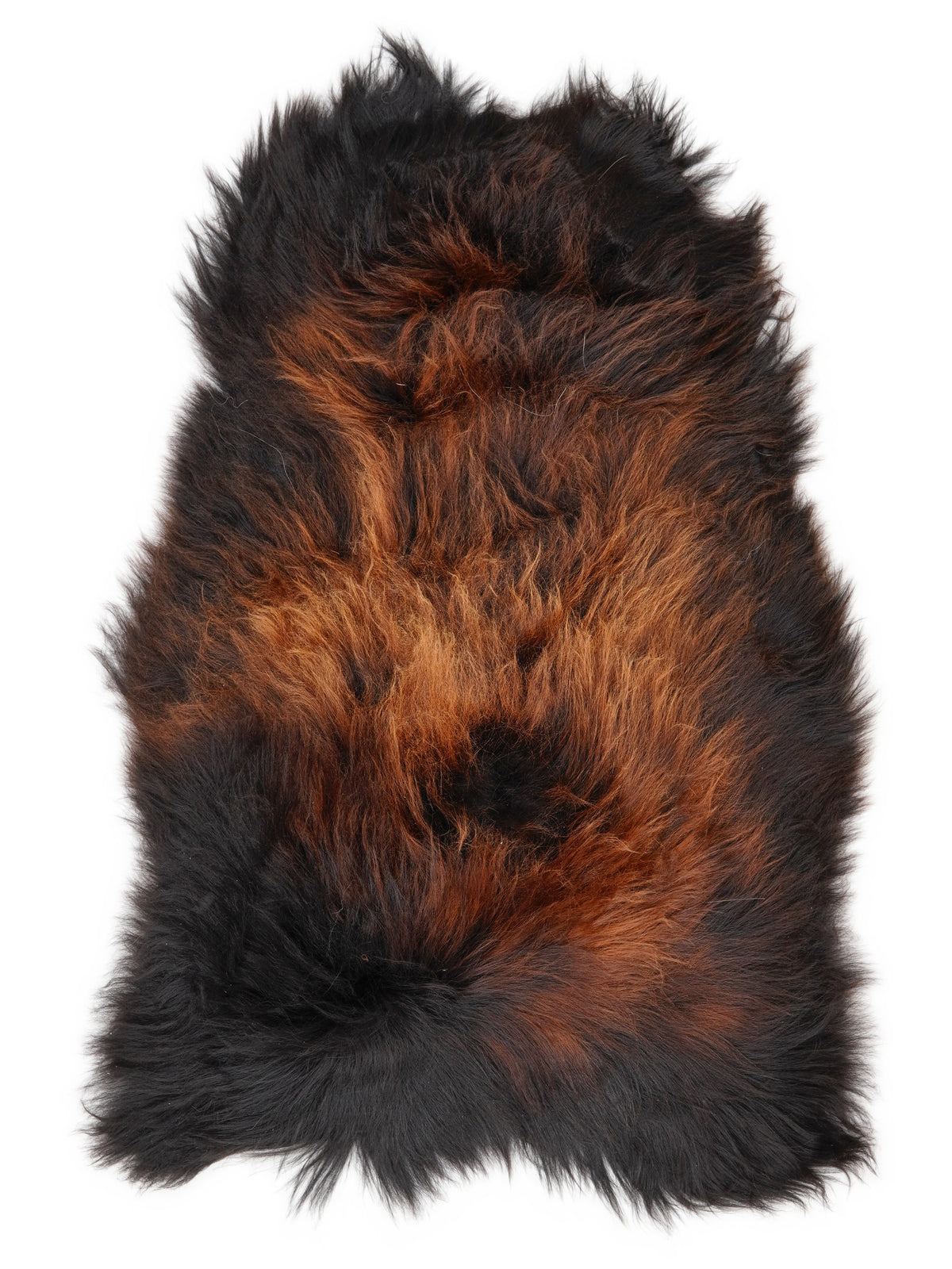 Icelandic multicolour sheepskin rug of about 120 × 70 cm, seen from above: the exact sheepskin you receive