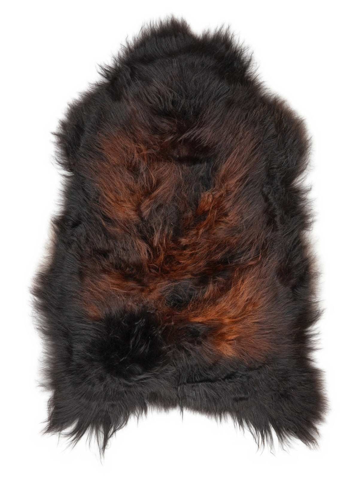 Icelandic multicolour sheepskin rug of about 120 × 70 cm, seen from above: the exact sheepskin you receive