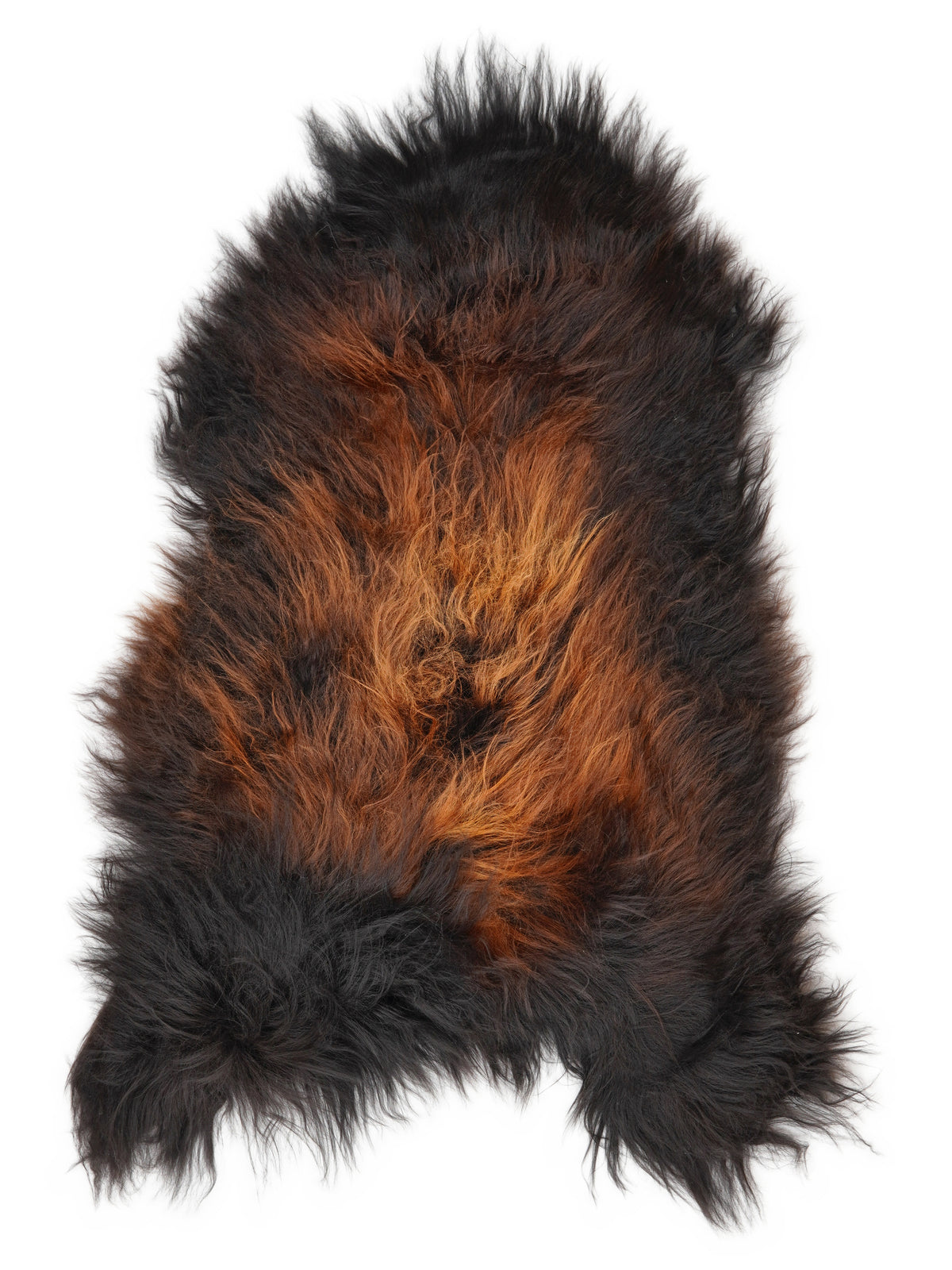 Icelandic multicolour sheepskin rug of about 120 × 70 cm, seen from above: the exact sheepskin you receive