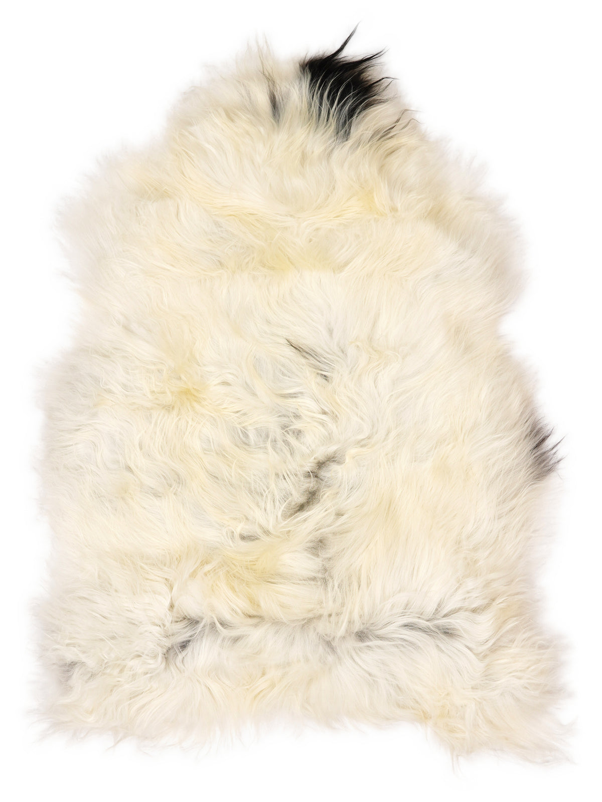 Icelandic multicolour sheepskin rug of about 110 × 75 cm, seen from above: the exact sheepskin you receive